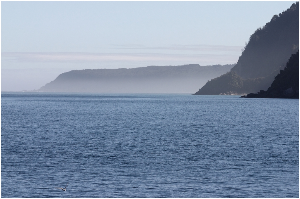 05 - Milford Sound (11).jpg